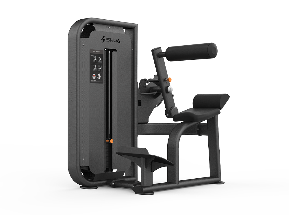Shua G6817 Back Extension selectorized machine, studio render 1 of 2