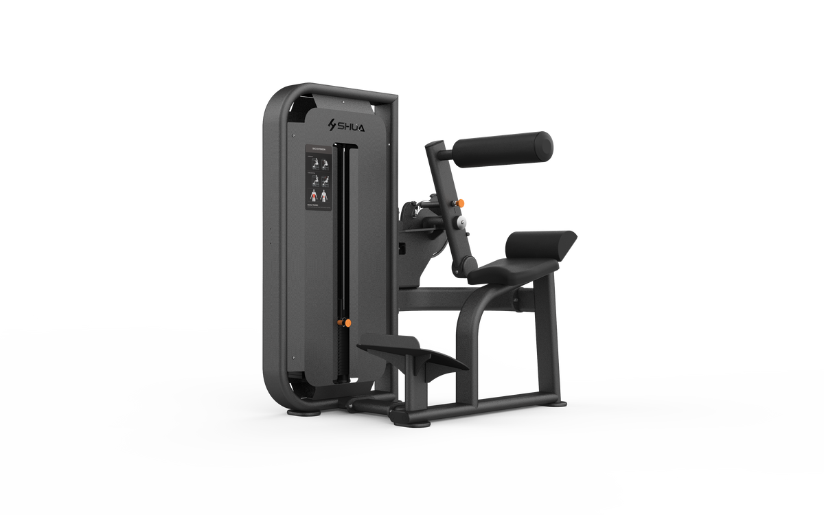 Shua G6817 Back Extension selectorized machine, studio render 2 of 2