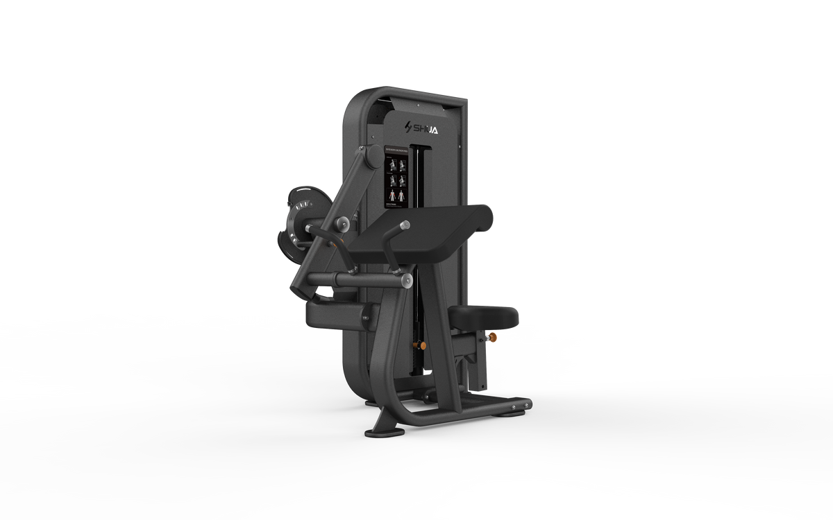 Shua G6822 Bicep/Tricep selectorized machine, studio render 2 of 2