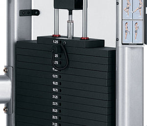 Life Fitness CMDAP Dual Adjustable Pulley Machine