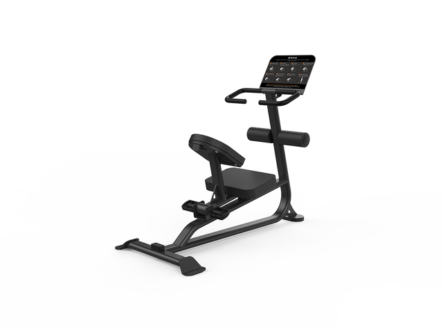 Shua G6390 Stretcher stretching station, studio render 1 of 2