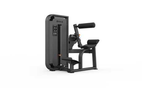 Shua G6817 Back Extension selectorized machine, studio render 2 of 2