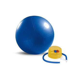 Beachbody Premium Stability Ball